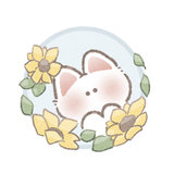 ひまうさ