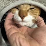 湧さん