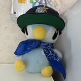 Piplupchama