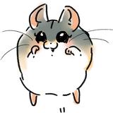 亜科しっく