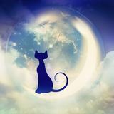 クレセントLuna☆