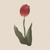 鵜久森うい✦illustration