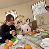 Kotsuponポンポンコツコツ