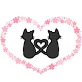 nekosukisakura