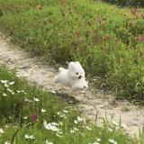 しょくぱン