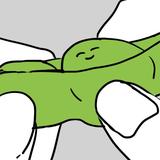 枝豆_イラストレーター