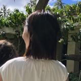ヨッシー443