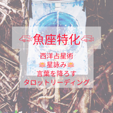 KONA❁星詠みタロット鑑定士