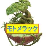 モトメラック