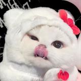 とろろスープ