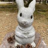 空田 意与