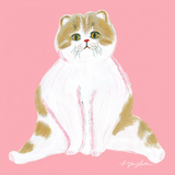 ねこペン先生・デザインのなんでも相談所
