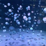 気軽にどうぞ☺️