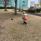 ちこデザイン