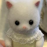 しほたる