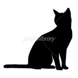cat neko neko