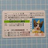ああいうえお？