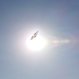 ☀はれのはるiec∞◉
