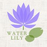 WATER LILY