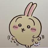 ゆでたま代