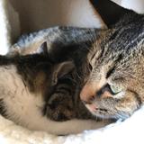 ユウト…心のお医者さん