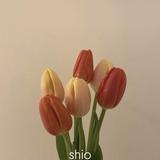 shiori27