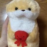 　じゅん