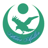 なぎ_atelier Apollon_