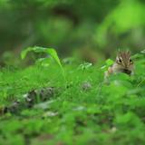 たかゆきの相談部屋
