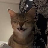 むたぬ