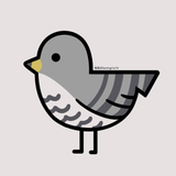 時鳥73