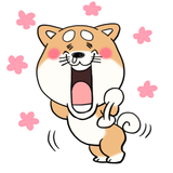 Kuroi Tom