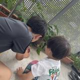 りょうすけ先生