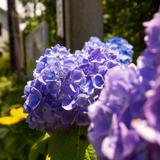 たなか0845