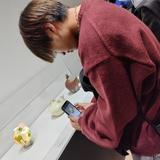えびこじ