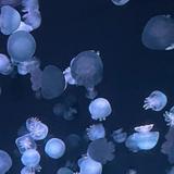 雨【動画編集・MV制作】