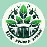 Life Sounds Studio