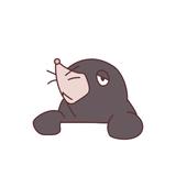はっとりhiraku