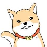 ぽぽ君