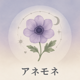 ✤アネモネ✤