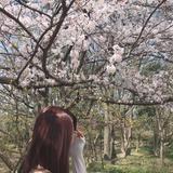 コト8008