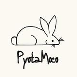 pyotamoco