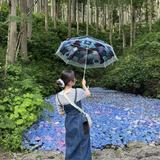上野鈴夏
