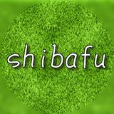 shibafu_colorist2