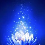蓮華☆霊視タロット占い☆