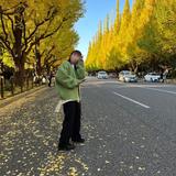Miyuki_design_