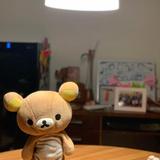 丁寧にきちんと教えます
