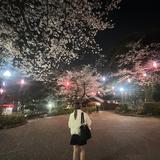 mio_sax