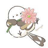 しろなが
