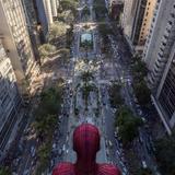 Peter parker_20